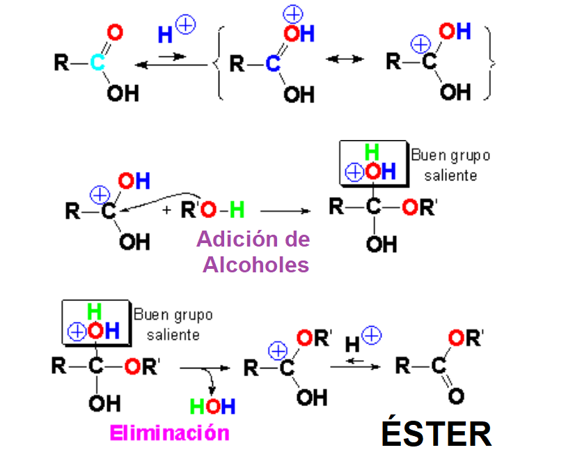 Formación de ésteres